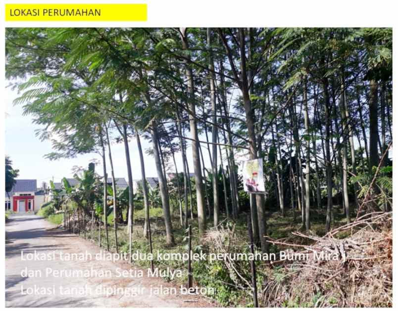 dijual tanah jl bangau sakti