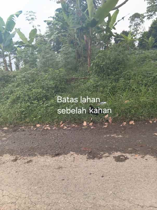 dijual tanah jl h gofur