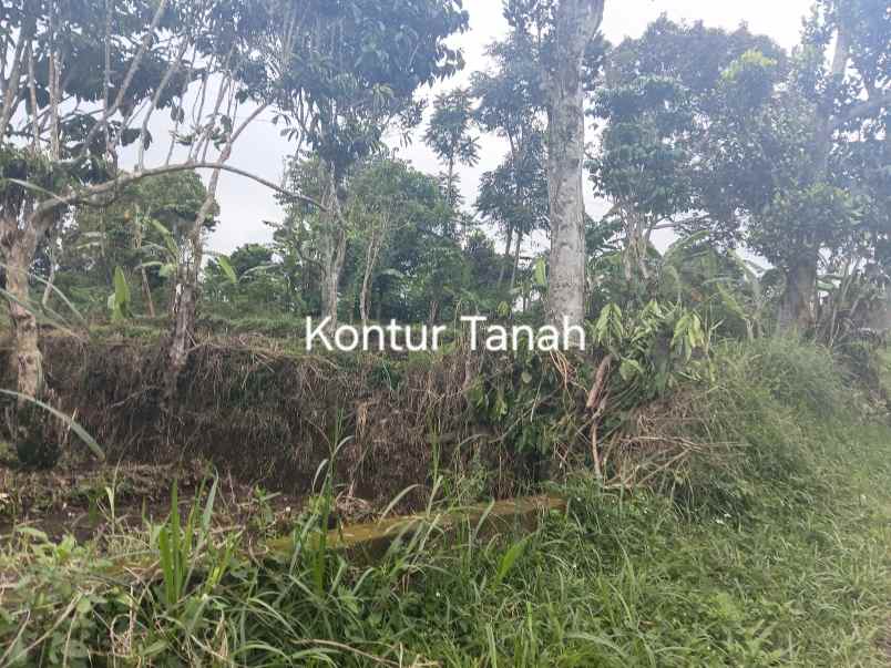 dijual tanah jl h gofur