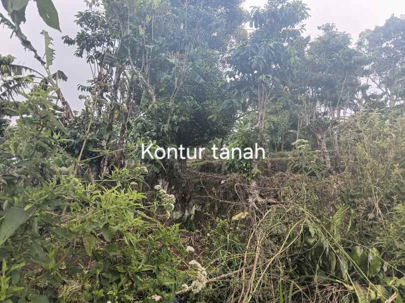 dijual tanah jl h gofur