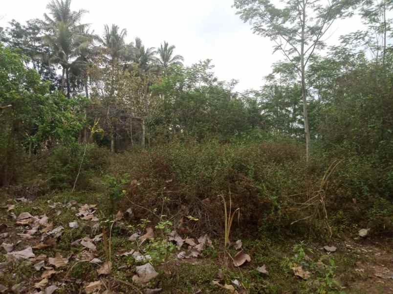 dijual tanah jl kh irsyad