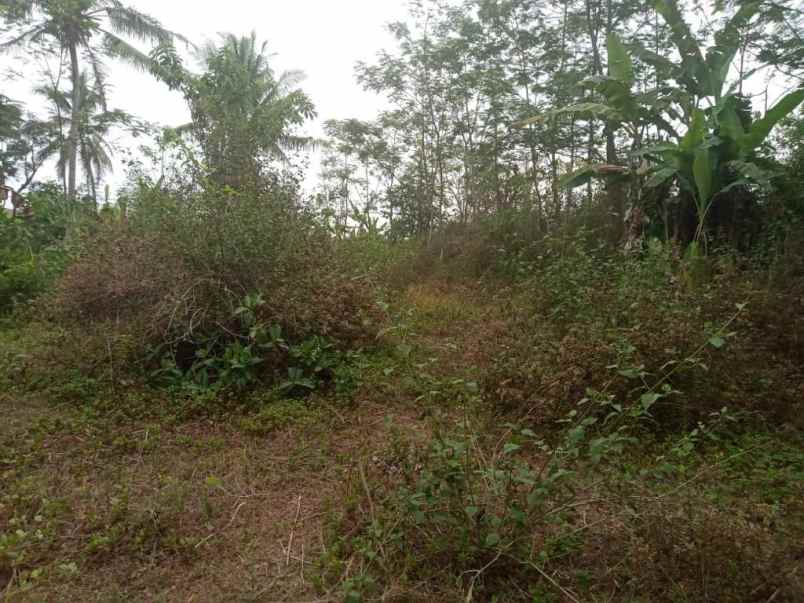 dijual tanah jl kh irsyad