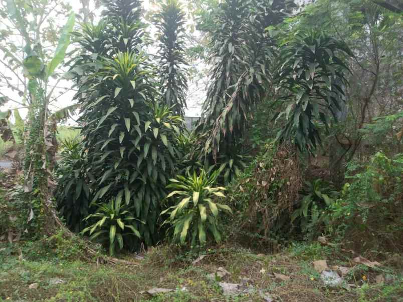 dijual tanah jl kh irsyad