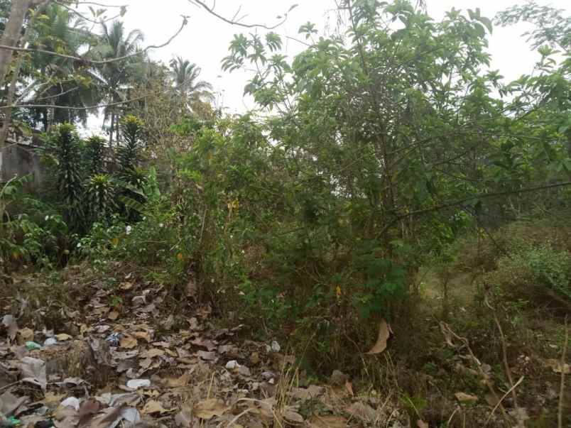 dijual tanah jl kh irsyad