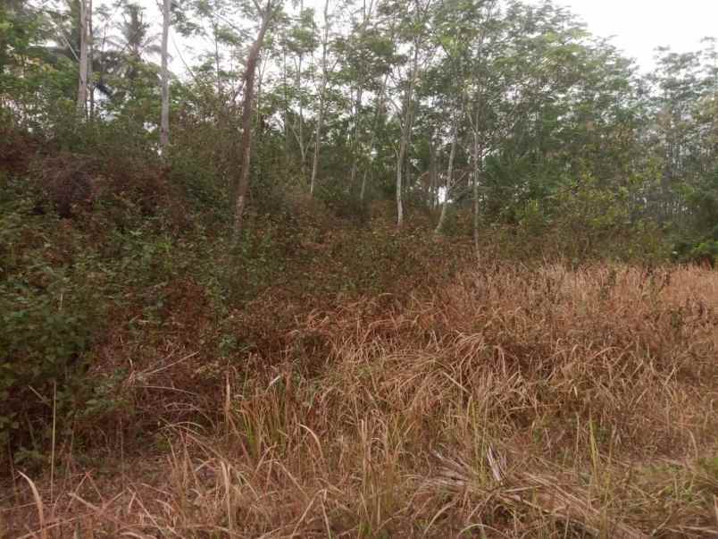 dijual tanah jl kh irsyad