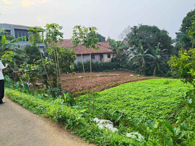 dijual tanah jl kp setu bojong