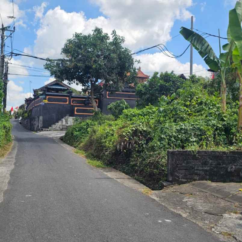 dijual tanah jl tumbak bayuh i