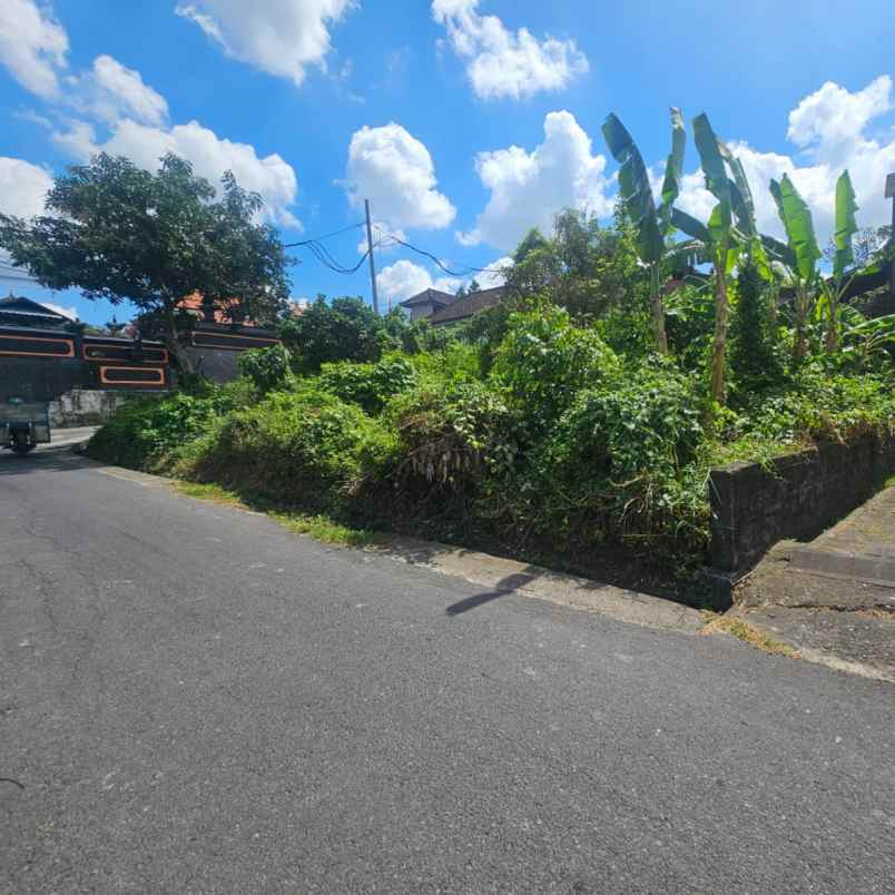 dijual tanah jl tumbak bayuh i