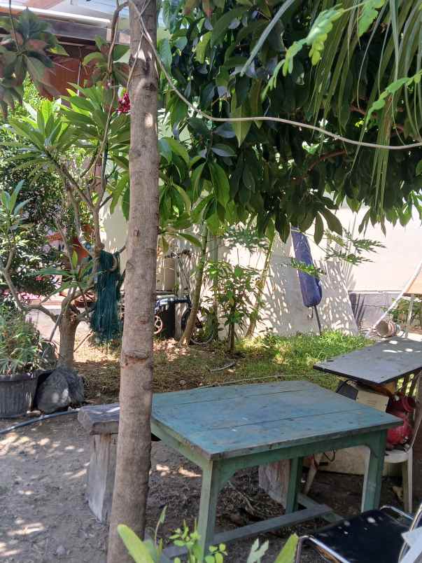 dijual tanah jl tunggak bingin