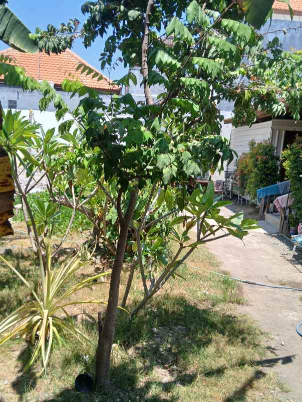 dijual tanah jl tunggak bingin