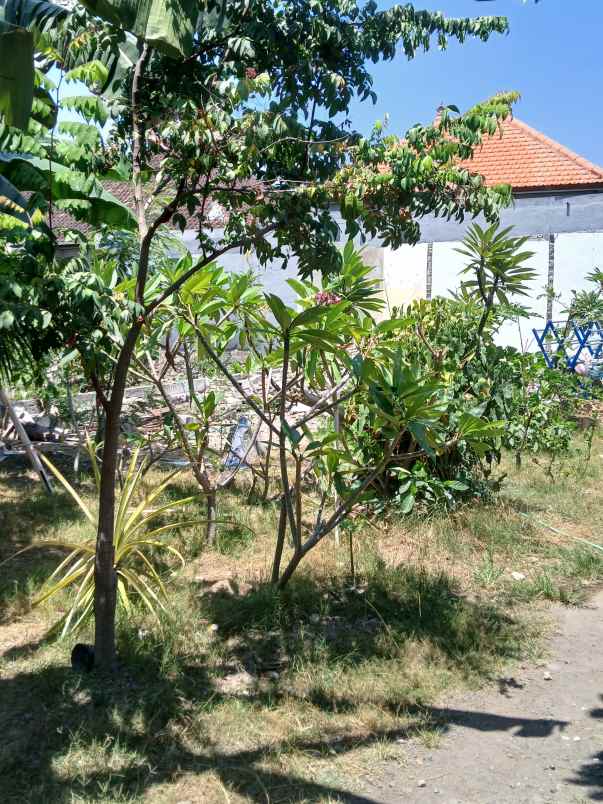 dijual tanah jl tunggak bingin