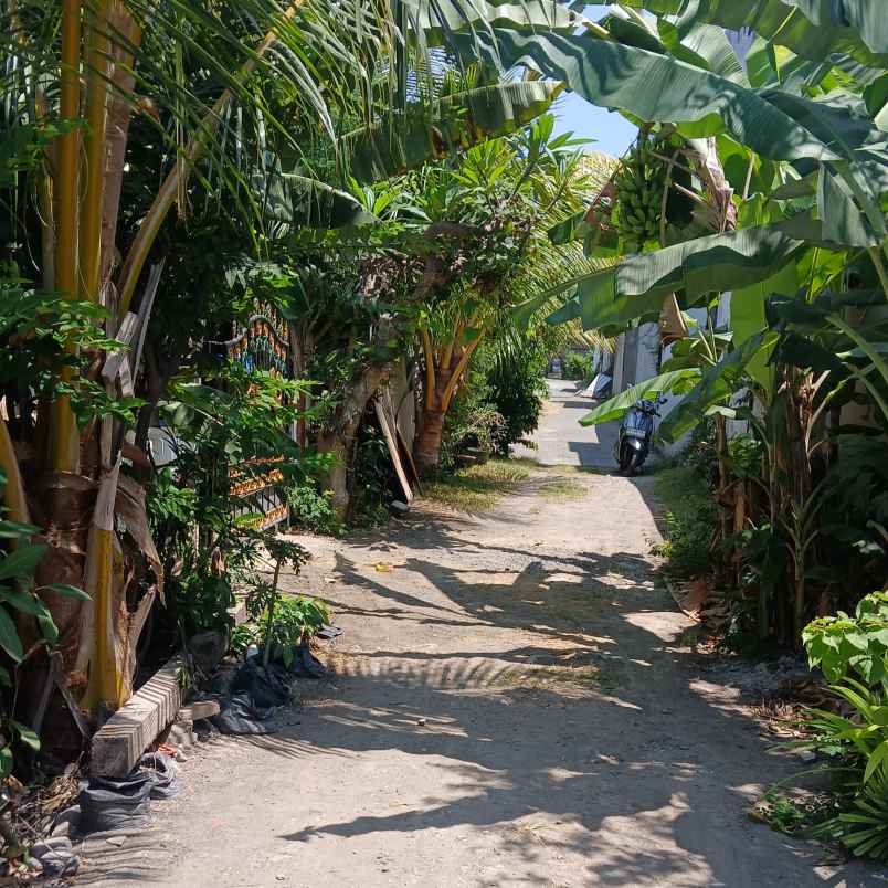 dijual tanah jl tunggak bingin