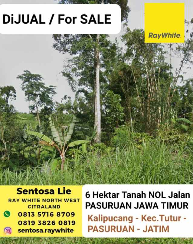 dijual tanah kalipucang