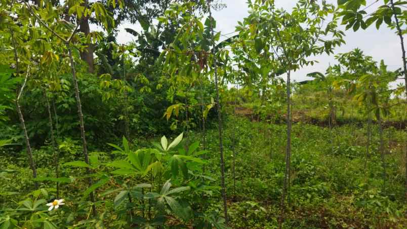 dijual tanah komplek cipageran