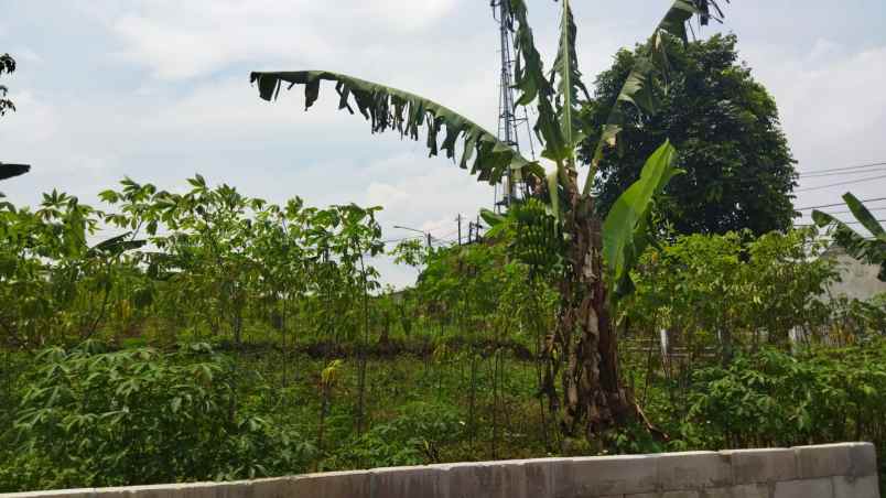 dijual tanah komplek cipageran