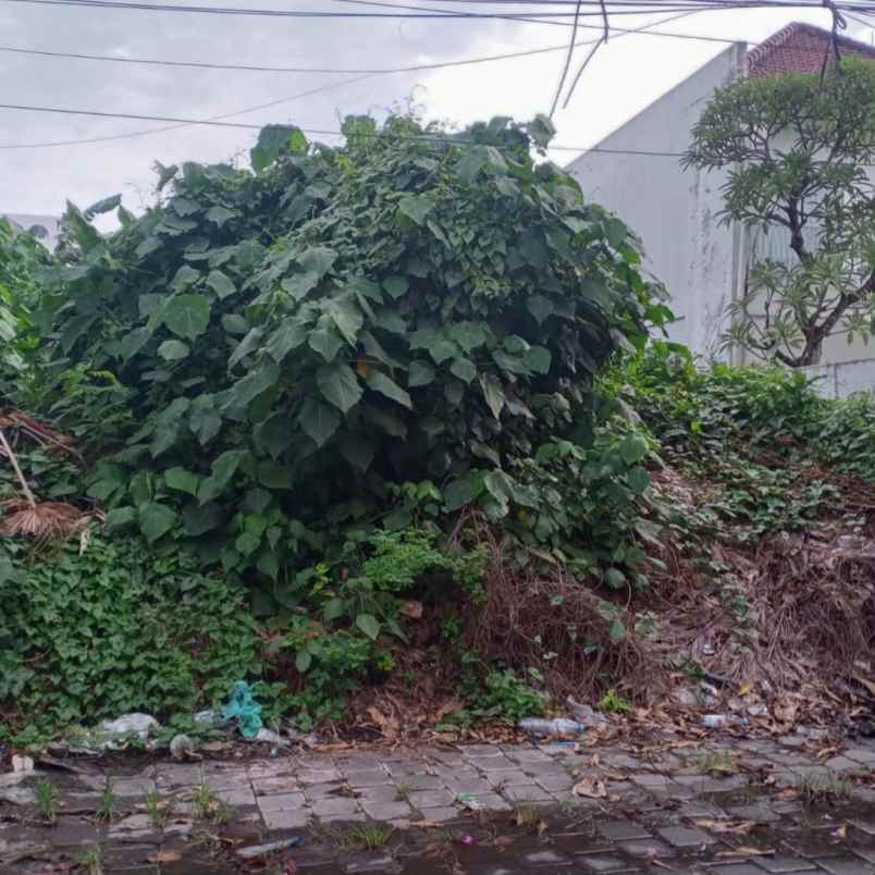 dijual tanah lp kerobokan kelof