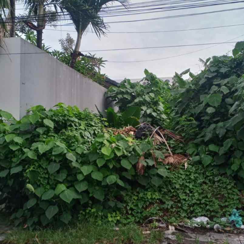 dijual tanah lp kerobokan kelof