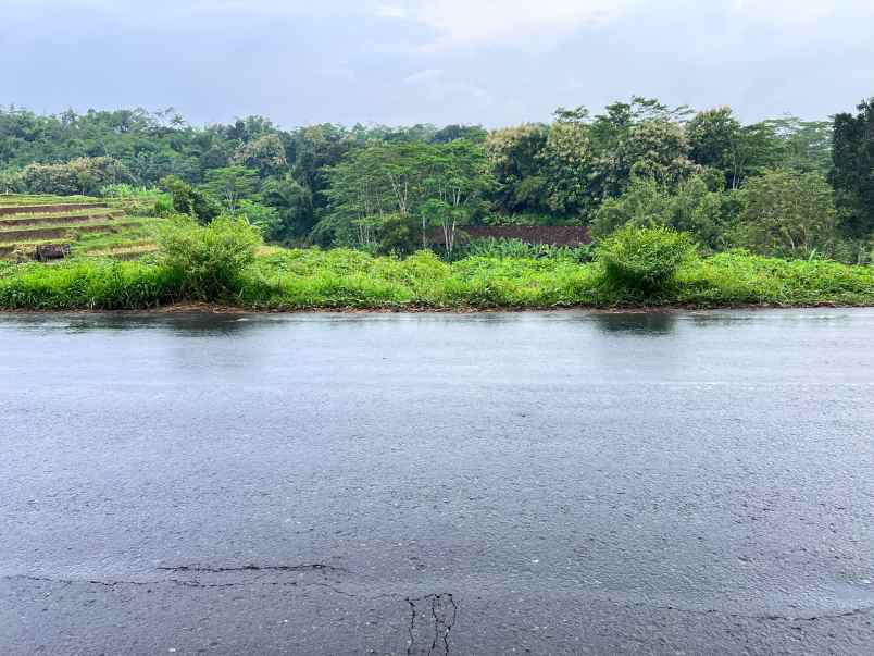 dijual tanah mojogedang