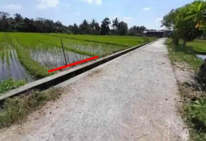dijual tanah murah dijogya 400rb per meter