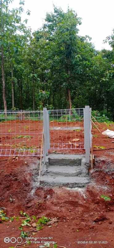 dijual tanah murah kavling shm di sidorejo jatisrono