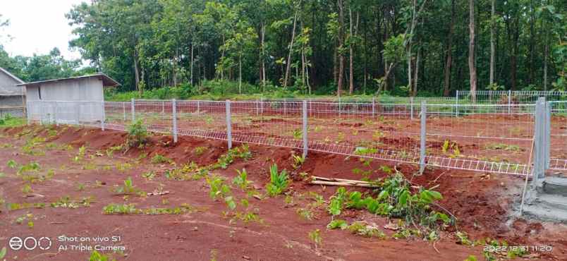 dijual tanah murah kavling shm di sidorejo jatisrono