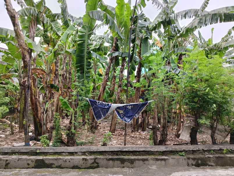 dijual tanah pedurungan