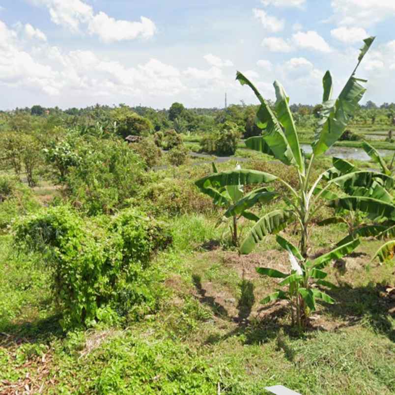 dijual tanah peguyangan kangin