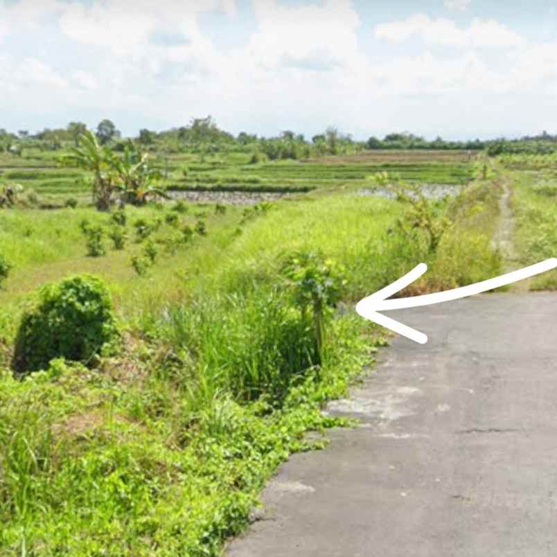 dijual tanah peguyangan kangin