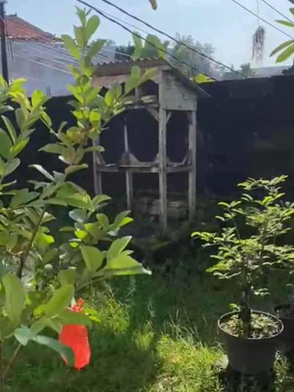 dijual tanah pererenan buduk