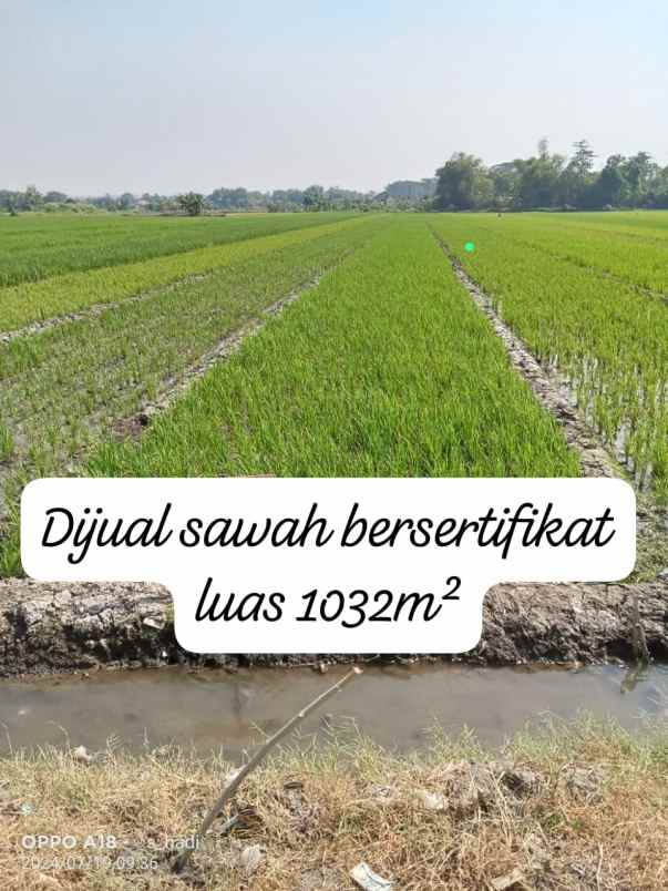 dijual tanah persawahan