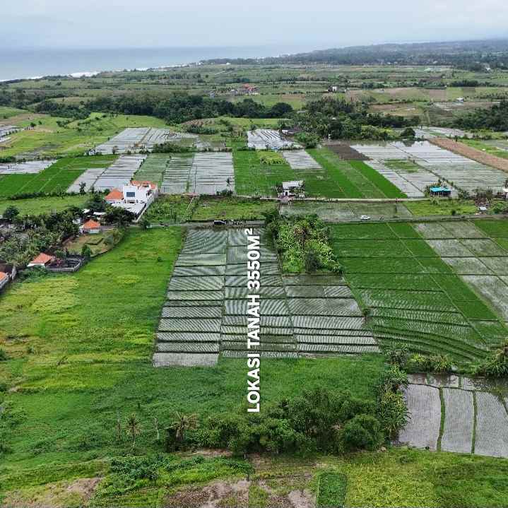 dijual tanah raya kerambitab