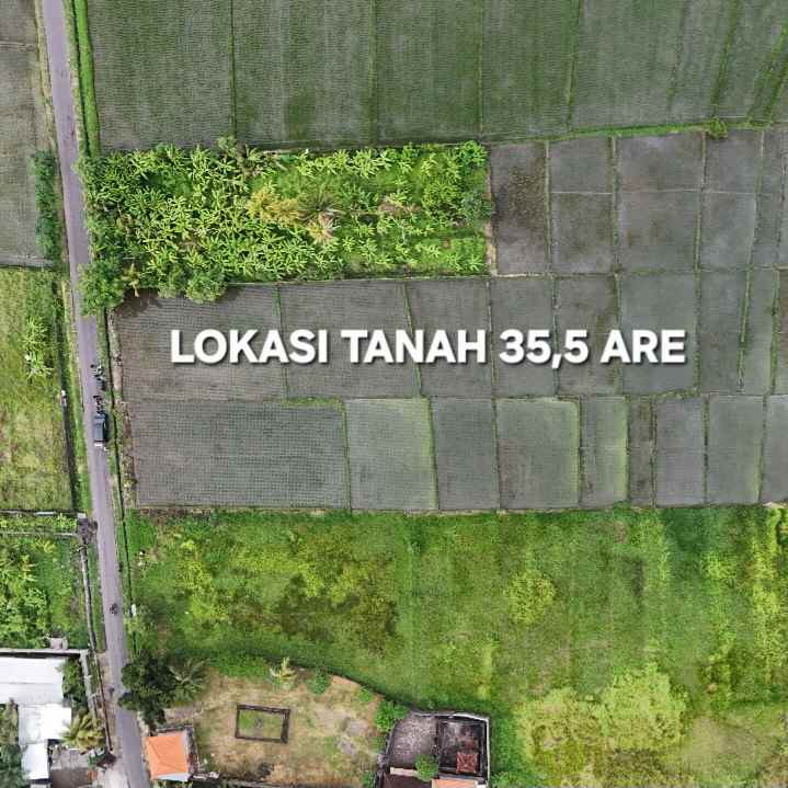 dijual tanah raya kerambitab