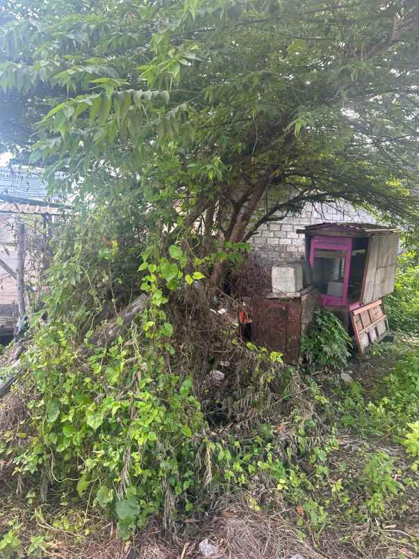 dijual tanah raya munggu kapal