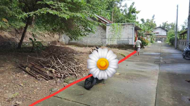 dijual tanah sayegan