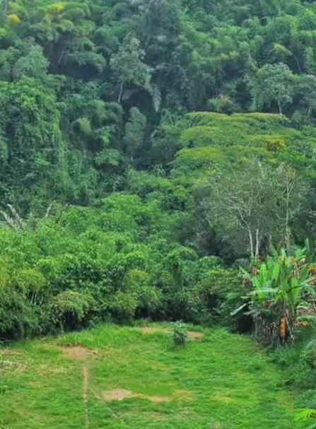 dijual tanah sebatu ubud bali