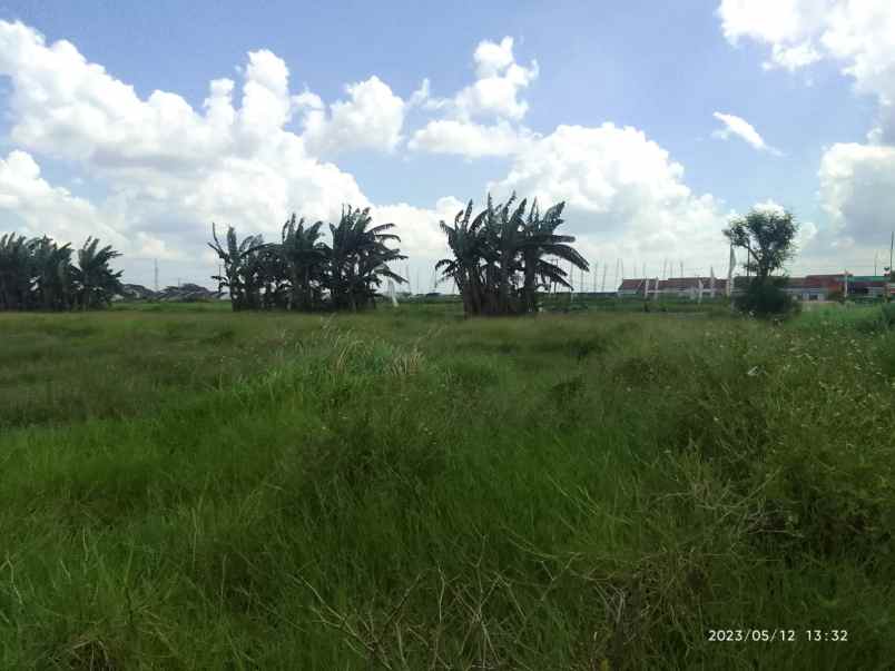 dijual tanah sriamur gabus tambun utara