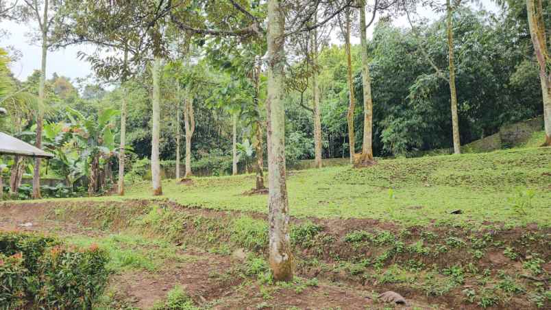 dijual tanah sukaharja kec cijeruk