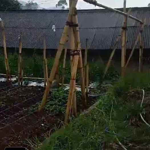 dijual tanah sukajaya