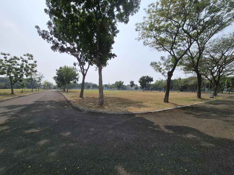 dijual tanah suvarna padi cluster akasia
