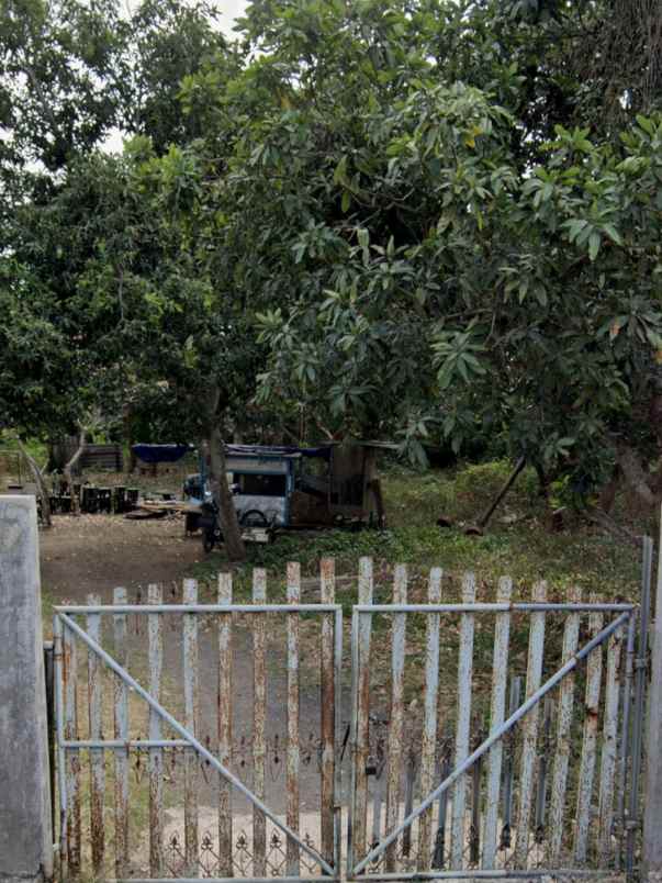 dijual tanah taman mumbul