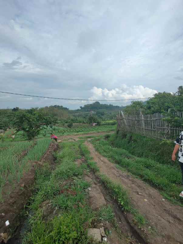 dijual tanah torongrejo