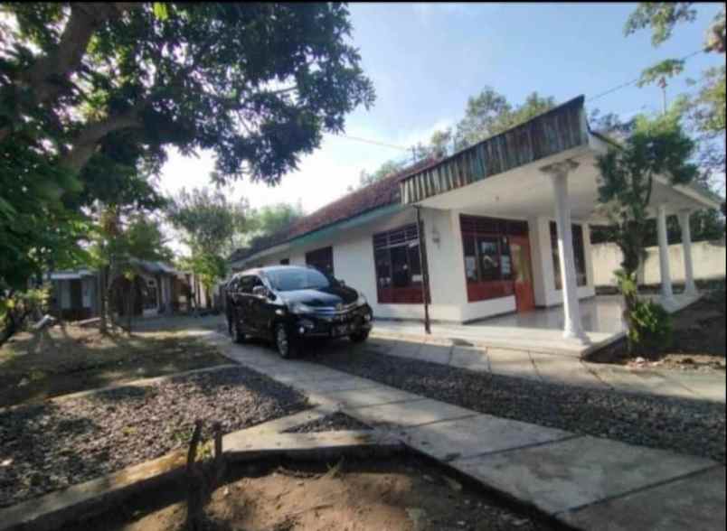 dijual tanah turi gudo