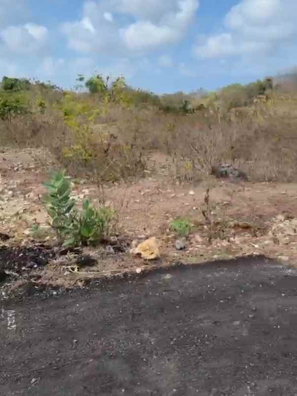 dijual tanah utara rektorat unud