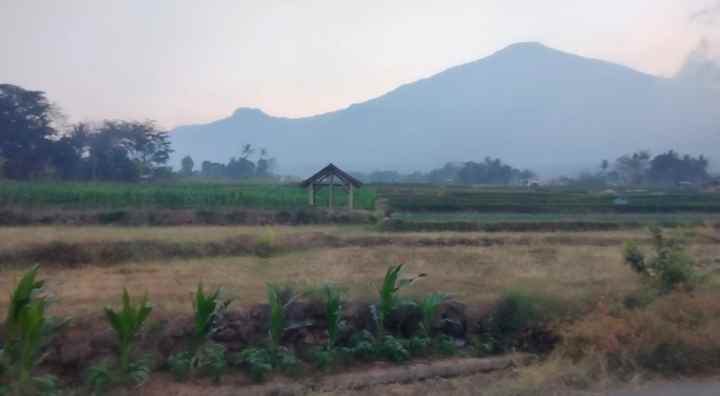 dijual tanah view gunung pinggir jalan di kuningan