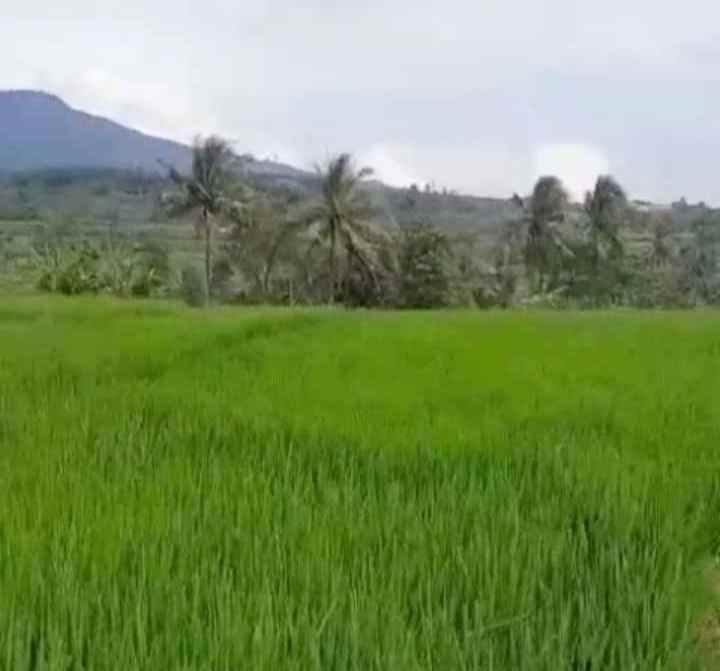 dijual tanah view gunung sawah pinggir jalan