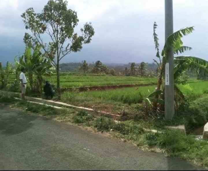 dijual tanah view gunung sawah pinggir jalan