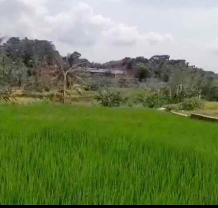 dijual tanah view gunung sawah pinggir jalan
