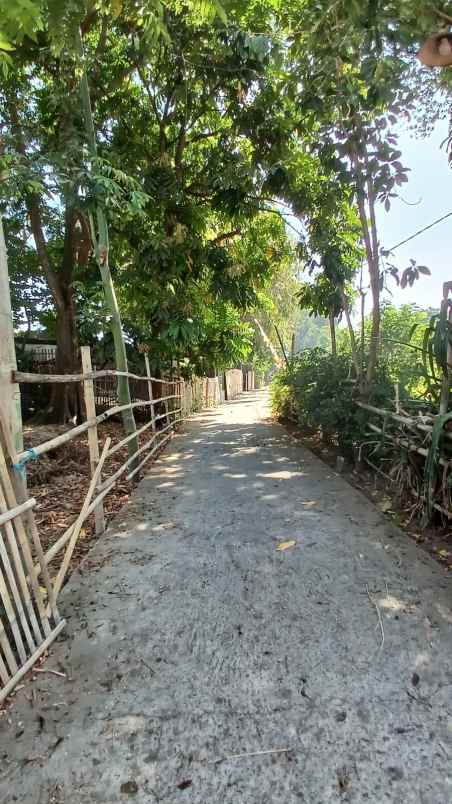 dijual tanah yogyakarta