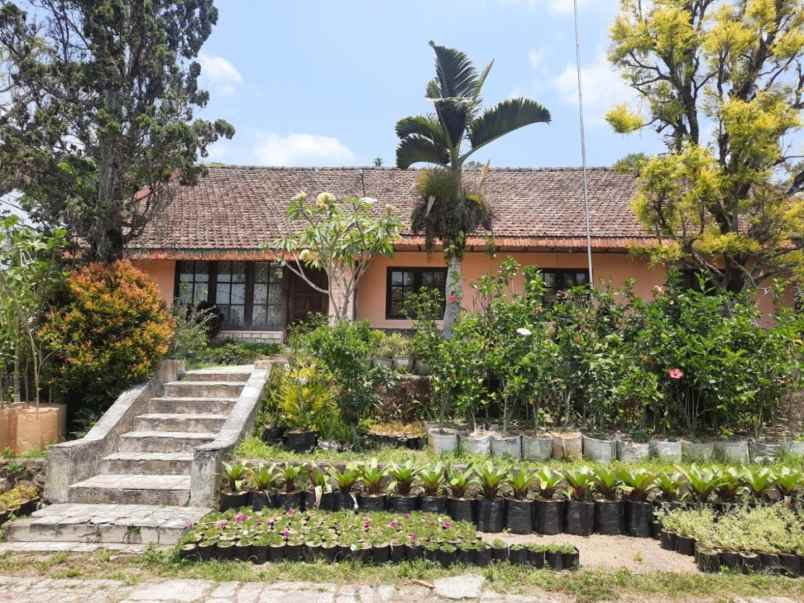 dijual villa jalan raya kebun raya