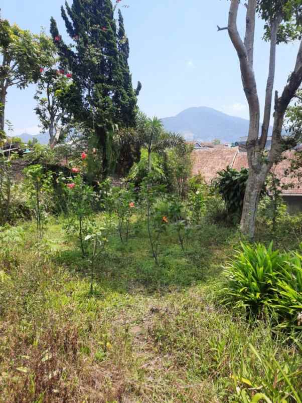 dijual villa jalan raya kebun raya